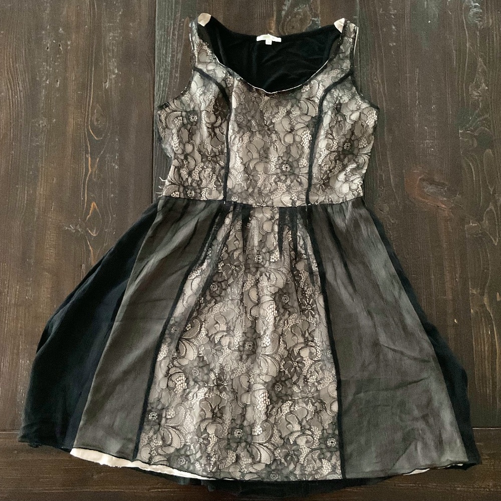 Black Lace Overlay Dress